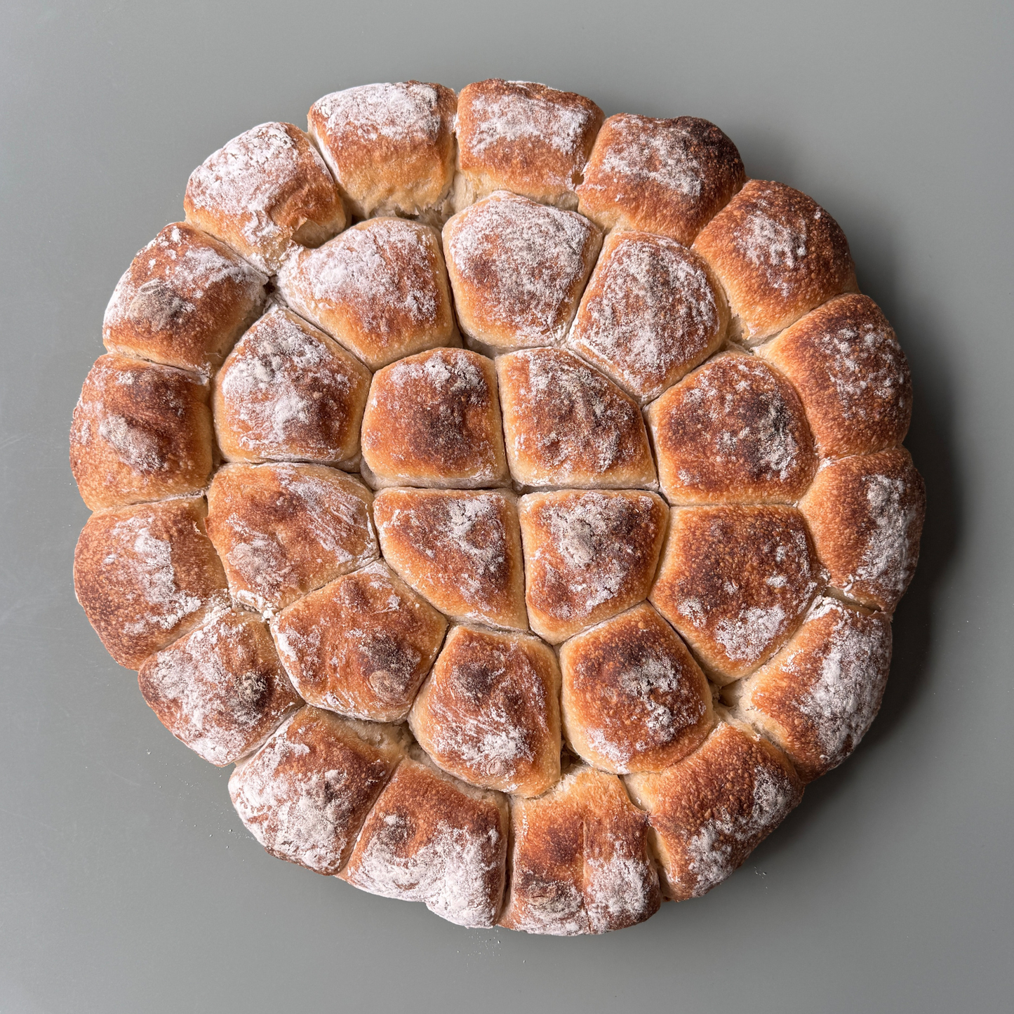 Sourdough Country Wheel (30 Rolls)