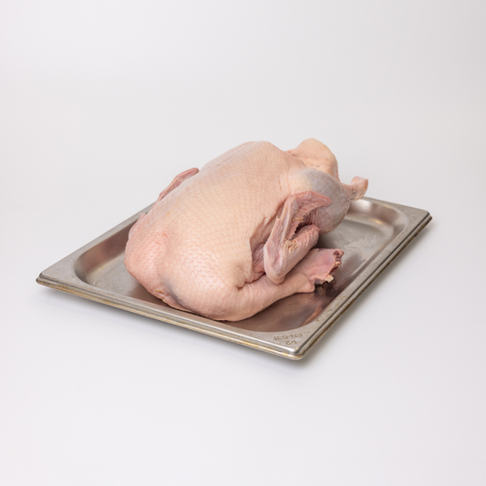 Pasture Raised Whole Duck - Ready to Roast