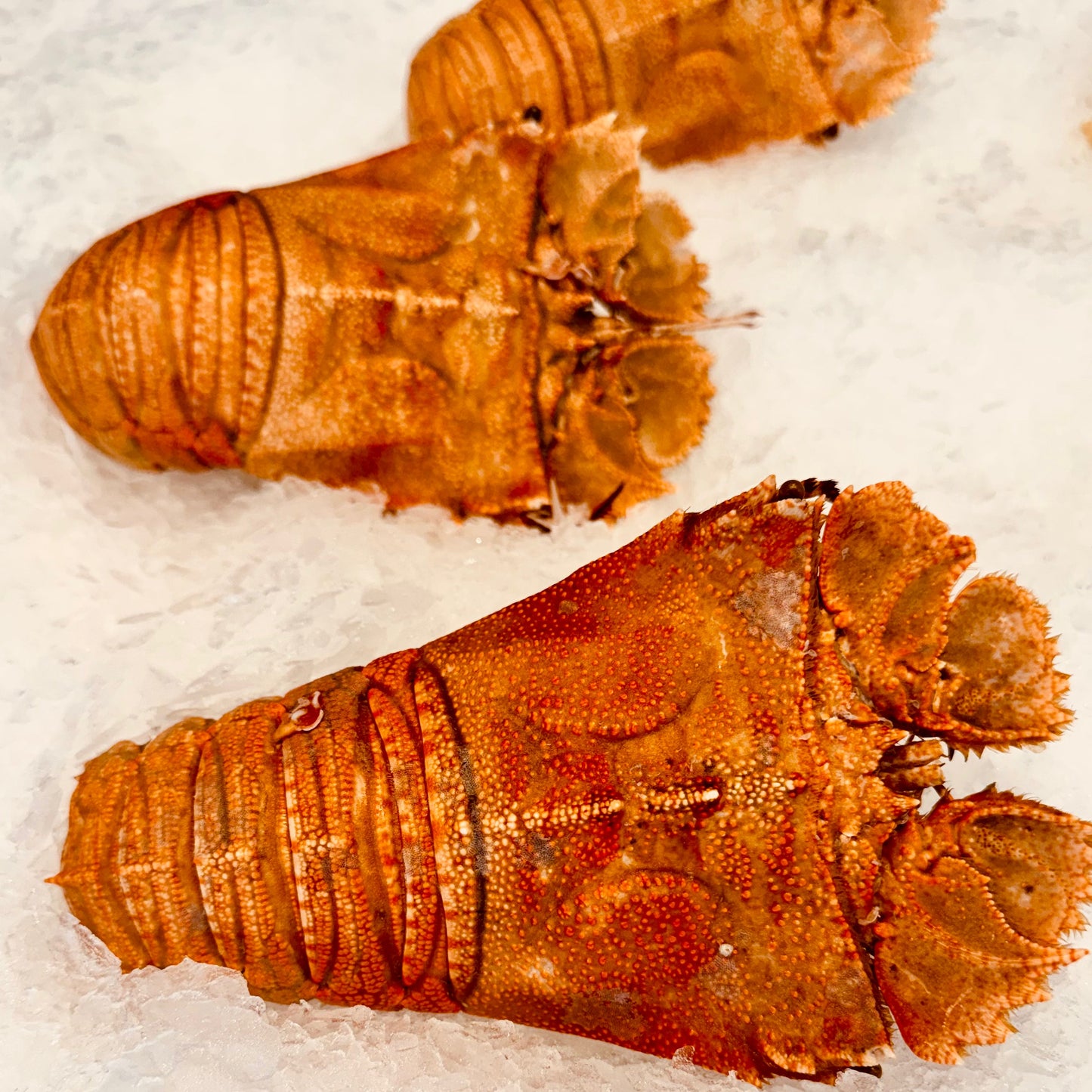 Cooked Morton Bay Bugs - 1kg