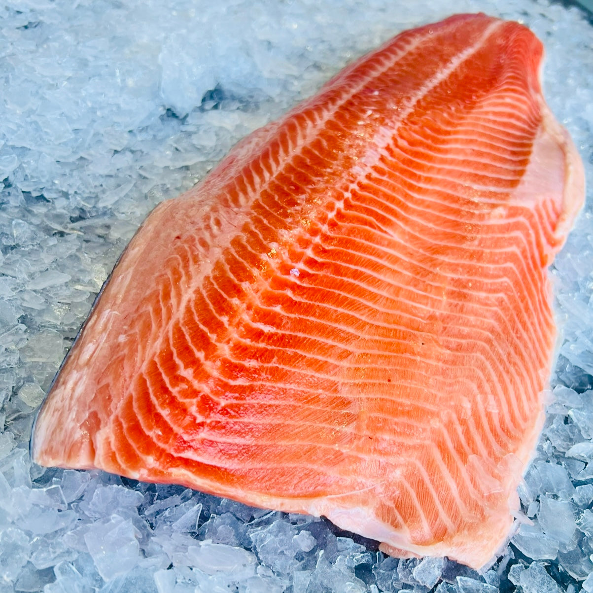 Whole Side of Ora King Salmon NZ